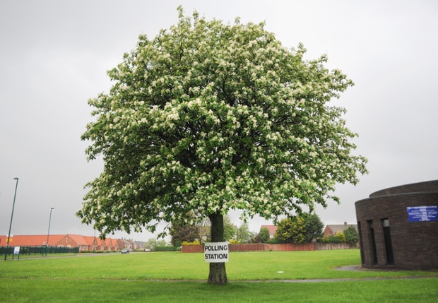 A sign pinned to a tree in Redcar, Teesside.