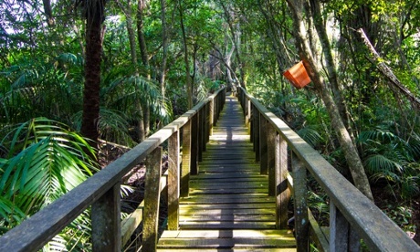 Lekki Conservation Park, Lagos.