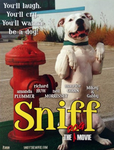 sniff