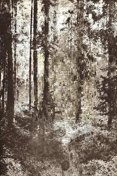 Elise Wehle artwork: Forestwithsmokehg by Elise Wehle 