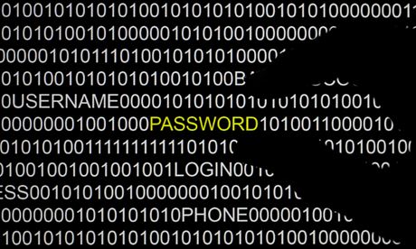 File picture illustration of the word 'password' pictured on a computer screen taken in Berlin