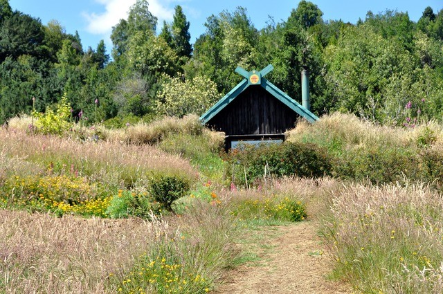 Careers witness project: Paul Coleman's 'Organic Architect'