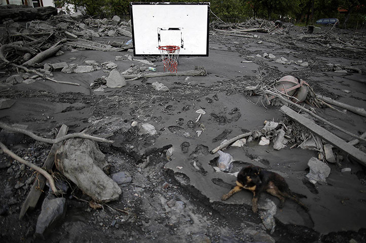 20 Photos: A dog sits on a flood-damaged basketball court in Topcic Polje