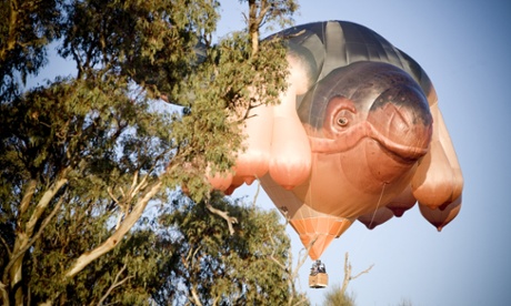 Patricia Piccinini's Skywhale makes its maiden flight over Western Victoria.