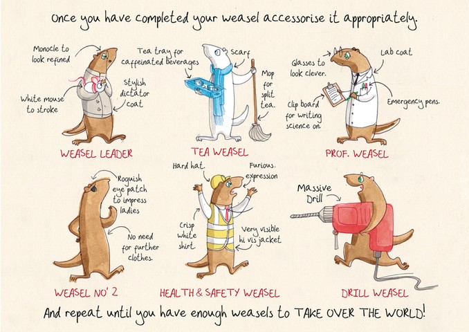 Weasel: How to draw a weasel 9