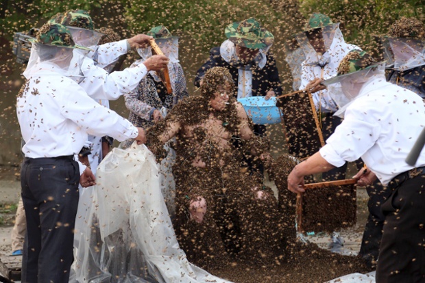 He must 'bee' crazy: Gao Bingguo is covered with bees during an attempt to break the Guinness World Record for being covered by the largest number of bees, in Taian, China. Luckily for him he set a new record a for having 326,000 bees on his body at one time.