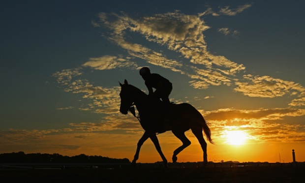 A horse and exercise rider train during sunrise at Belmont Park on May 27, 2014 in Elmont, New York.