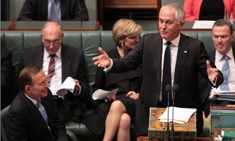 Wild duck: Communications minister Malcolm Turnbull, who has been hanging out with the wilder end of the senate.