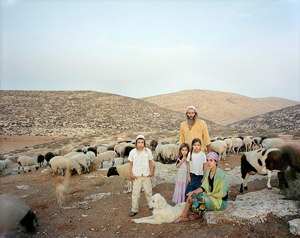 Big picture: Judean Hills, 2009