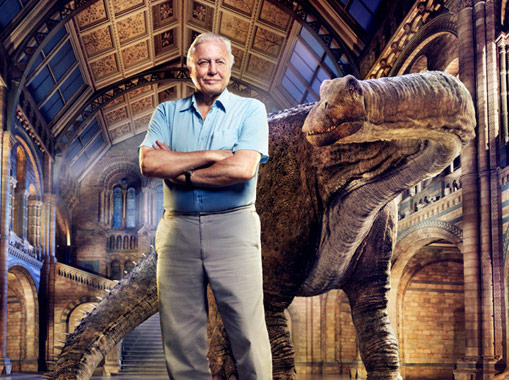 10 BEST: David Attenborough’s Natural History Museum Alive 3D