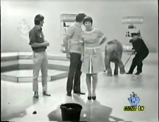 10 BEST: Blue Peter - Lulu the elephant