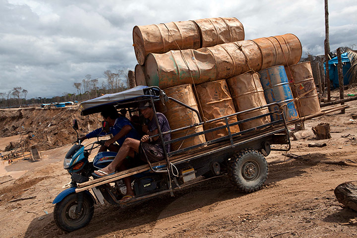 Illegal gold mining: People transport empty drums