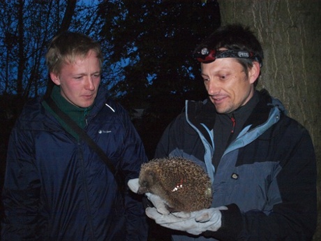 'What do hedgehogs really get up to at night? I'm a Hedgehog Officer.'