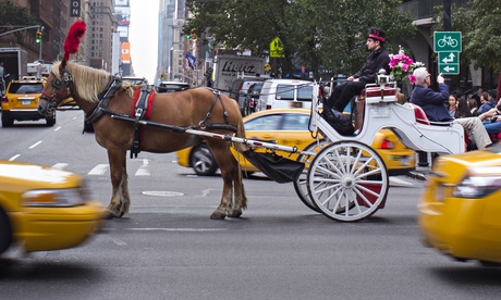 Central Park carriage ride in New York