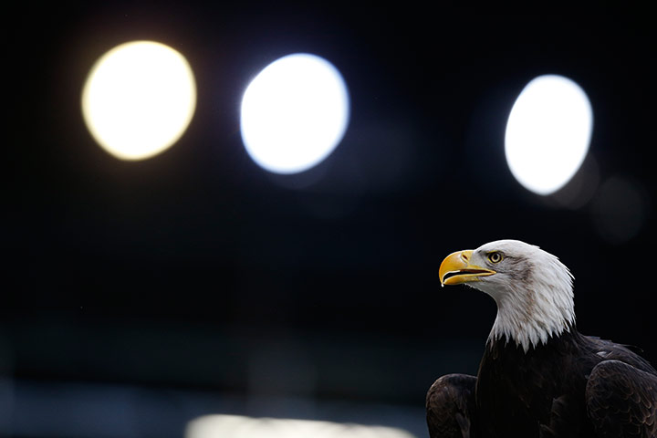 Palace Liverpool gallery: Palace Liverpool gallery