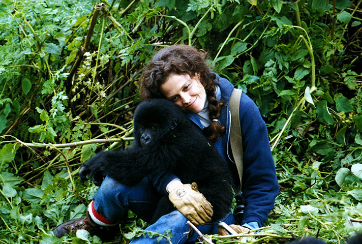 Sigourney Weaver as Dian Fossey in Gorillas in the Mist