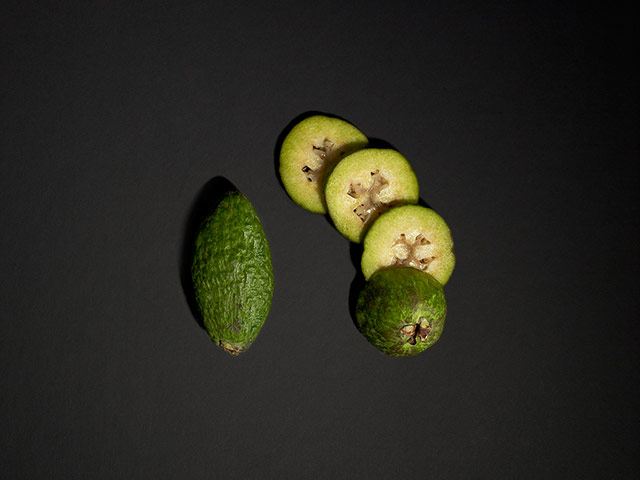 Veg 2.0: Acca sellowiana