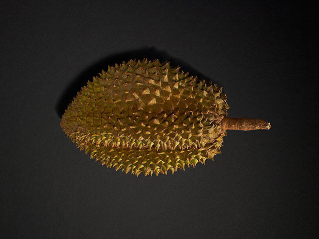Veg 2.0: Durian 