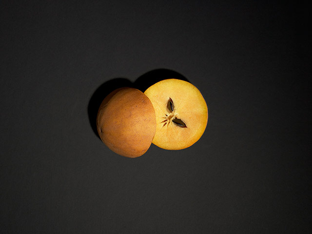 Veg 2.0: Manilkara zapota 