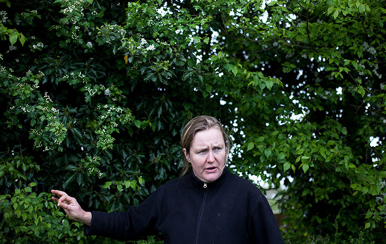 wild food gallery: wild food gallery