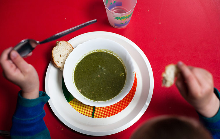 wild food gallery: wild food gallery