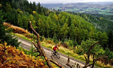 Mountain bikers enjoy the Blue and Red mixed route at 7Stanes Glentress.