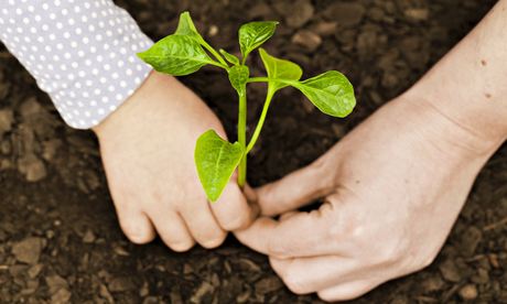 Brands like IKEA and Patagonia are reinventing themselves by helping their customers connect with ea