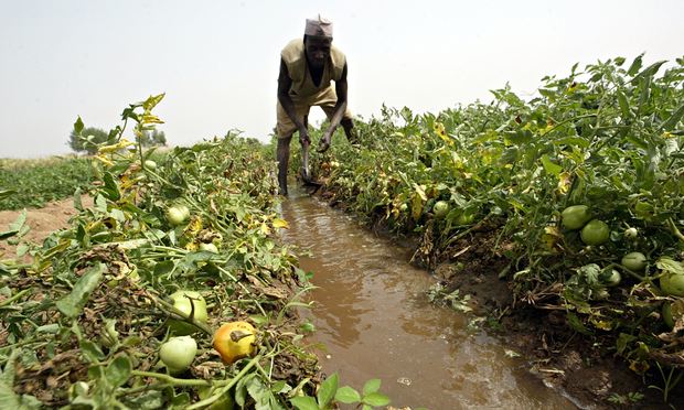 farmer creating water channels