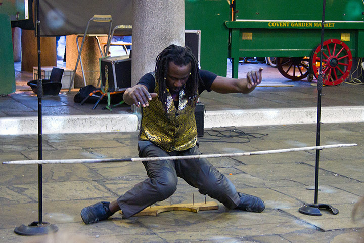 Your pictures: Limbo by Lilly Morris 