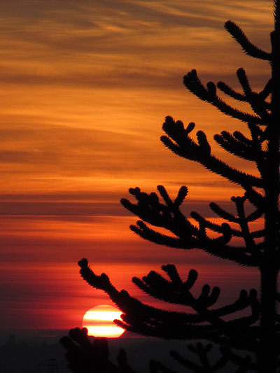 Your pictures: Dagmar Junghanns setting sun