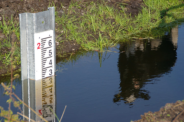 Your pictures: David Dixon: The Somerset Levels in Summer