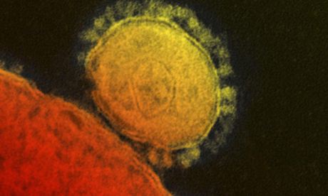 The Mers virus