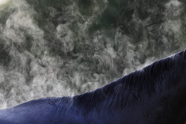 20 Photos: Steam rises from a thoroughbred racehorse at Churchill Downs in Louisville