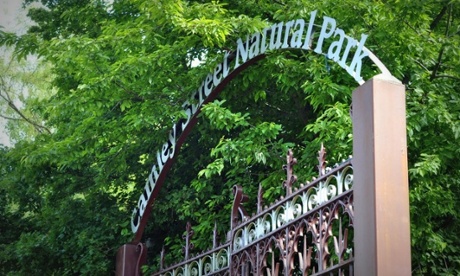 Camley Street Natural Park, London Wildlife Trust 