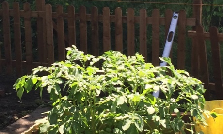 One job will soon be off the list at Stretford: fencing is well underway