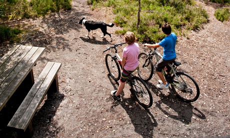 Two boys and a dog cycling at Moors Valley Country Park, Dorset