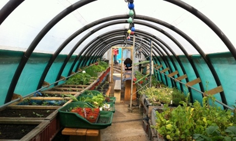 Polytunnel made from recycled materials at Global Generation's skip garden