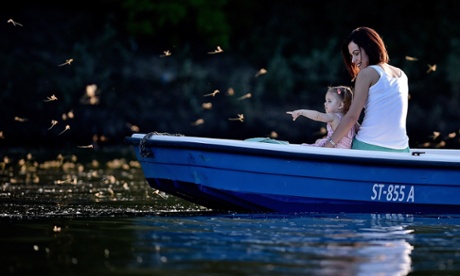 A young girl on a boat points at mayflys (Palingenia longicauda) on the Tisa river near the Serbian town of Kanjiza, 200 kilometres north of the capital Belgrade, on June 11, 2014. Large numbers of Palingenia longicauda larvae hatch and mature during a week in mid June. This natural phenomenon is known as the 'blooming of the Tisa' or 'Tisa blooming' and is a tourist attraction. The presence of Palingenia longicauda is an indicator of clean unpolluted water. Now extinct in many European countries, it can be found in Serbia and Hungary on the Tisa (Tisza) river.  AFP PHOTO / ANDREJ ISAKOVICANDREJ ISAKOVIC/AFP/Getty Images plg