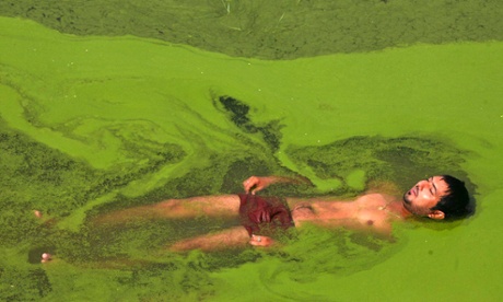 A man cools himself in a pond on a hot summer day on the outskirts of Jammu