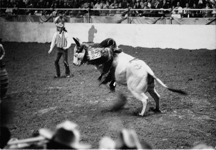 Dennis Hopper Shots: Dennis Hopper Photography Untitled (Riding Bull), 1962