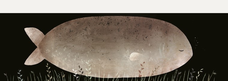 Klassen: 1 Not my hat