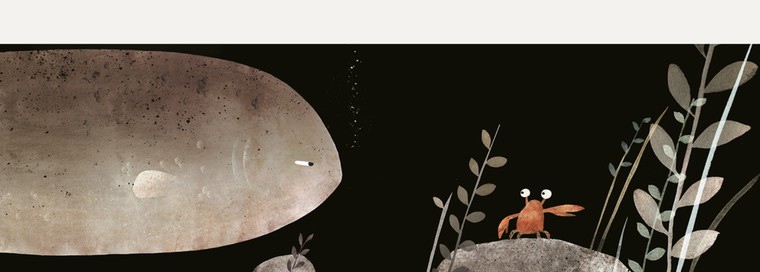 Klassen: Not my hat 4