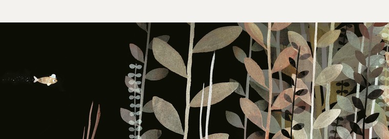 Klassen: not my hat 5