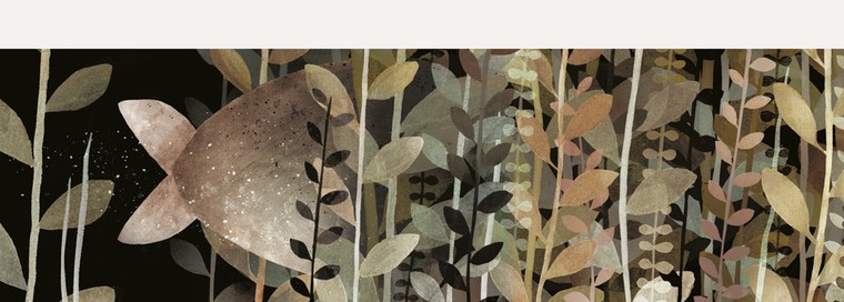 Klassen: Not my hat 6