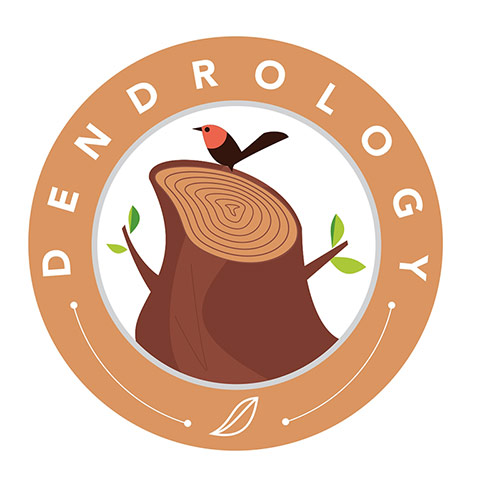 Ologies: Dendrology