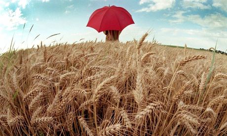 Woman with an umbrella