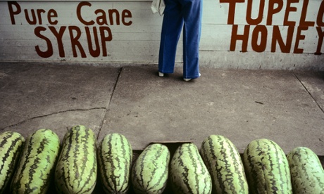 watermelons