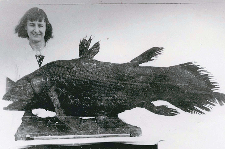Animal Magic: Marjorie’s Coelacanth