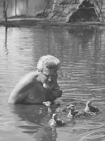 Animal Magic: Konrad Z. Lorenz