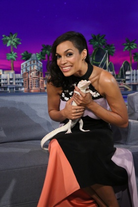 Rosario Dawson and a pale miniature alligator on Jimmy Fallon.